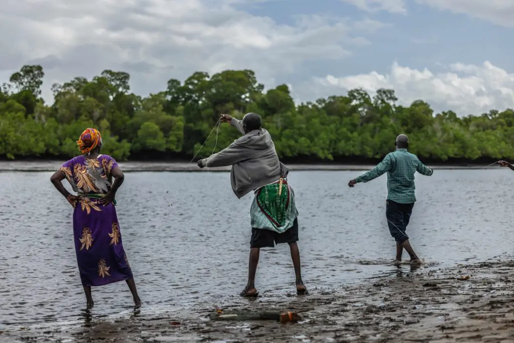 A group of people casting fishing nets into a body of water