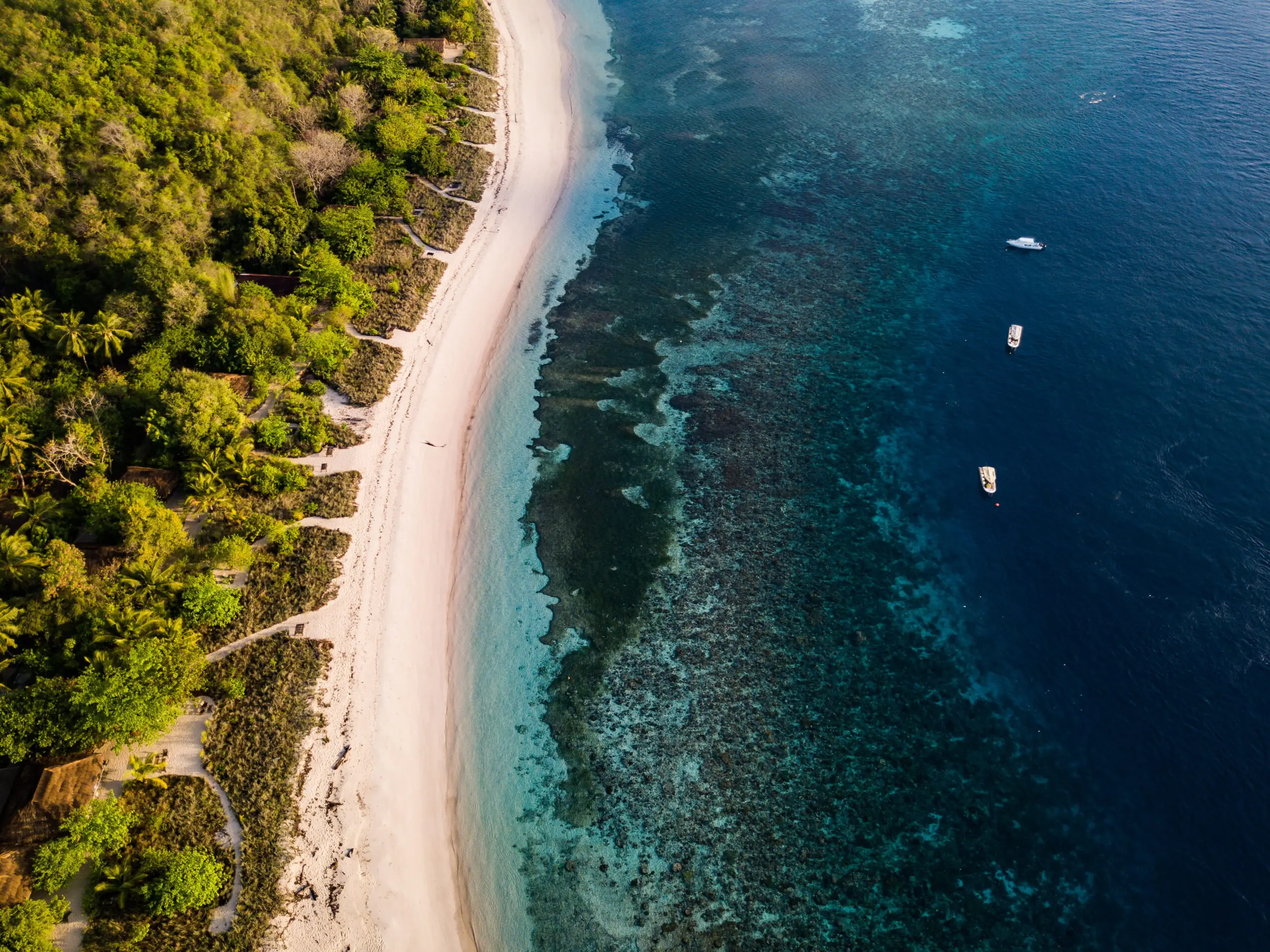 Coastal area with beach, forest and ocean