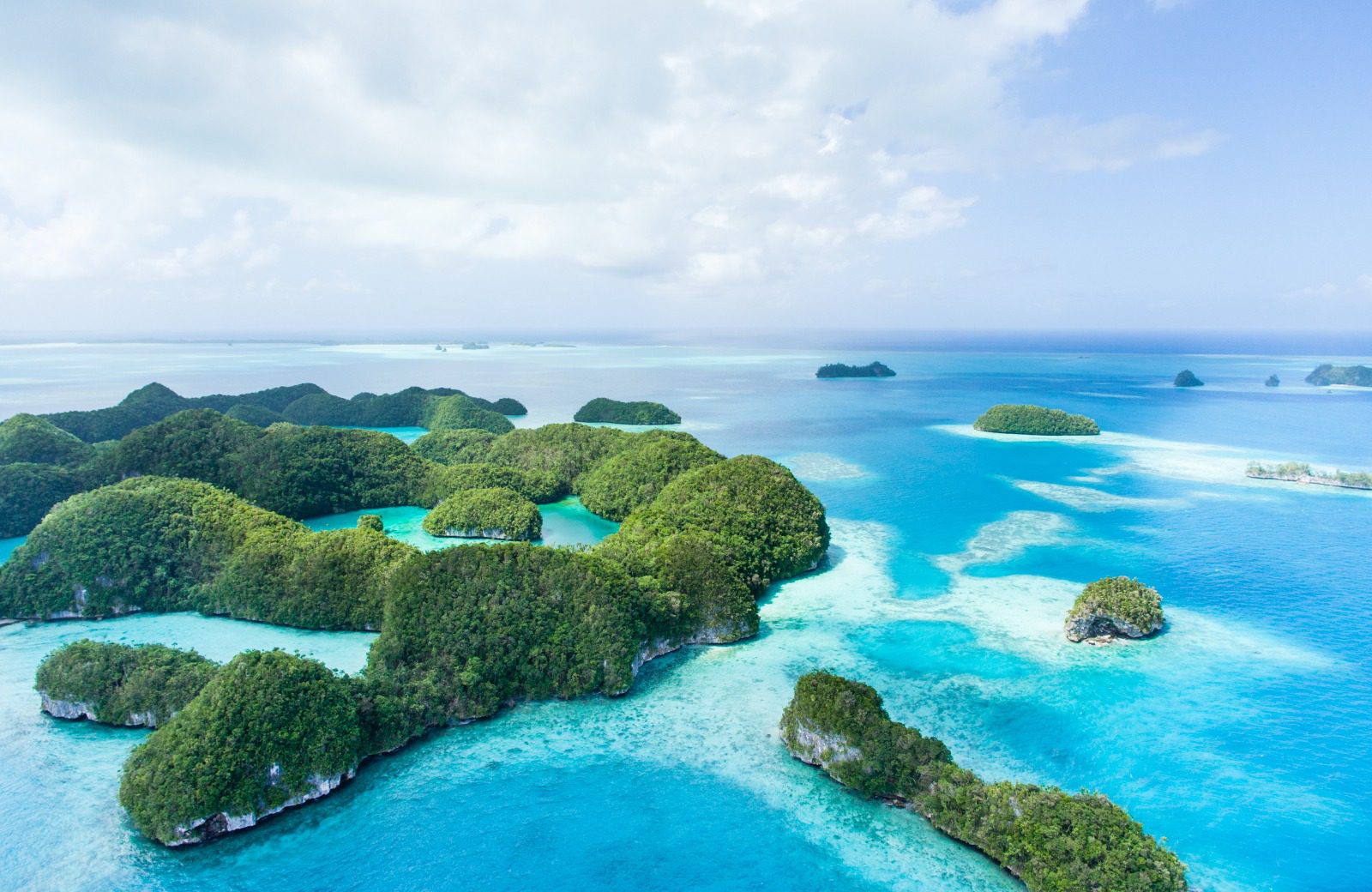 group of green islands in ocean