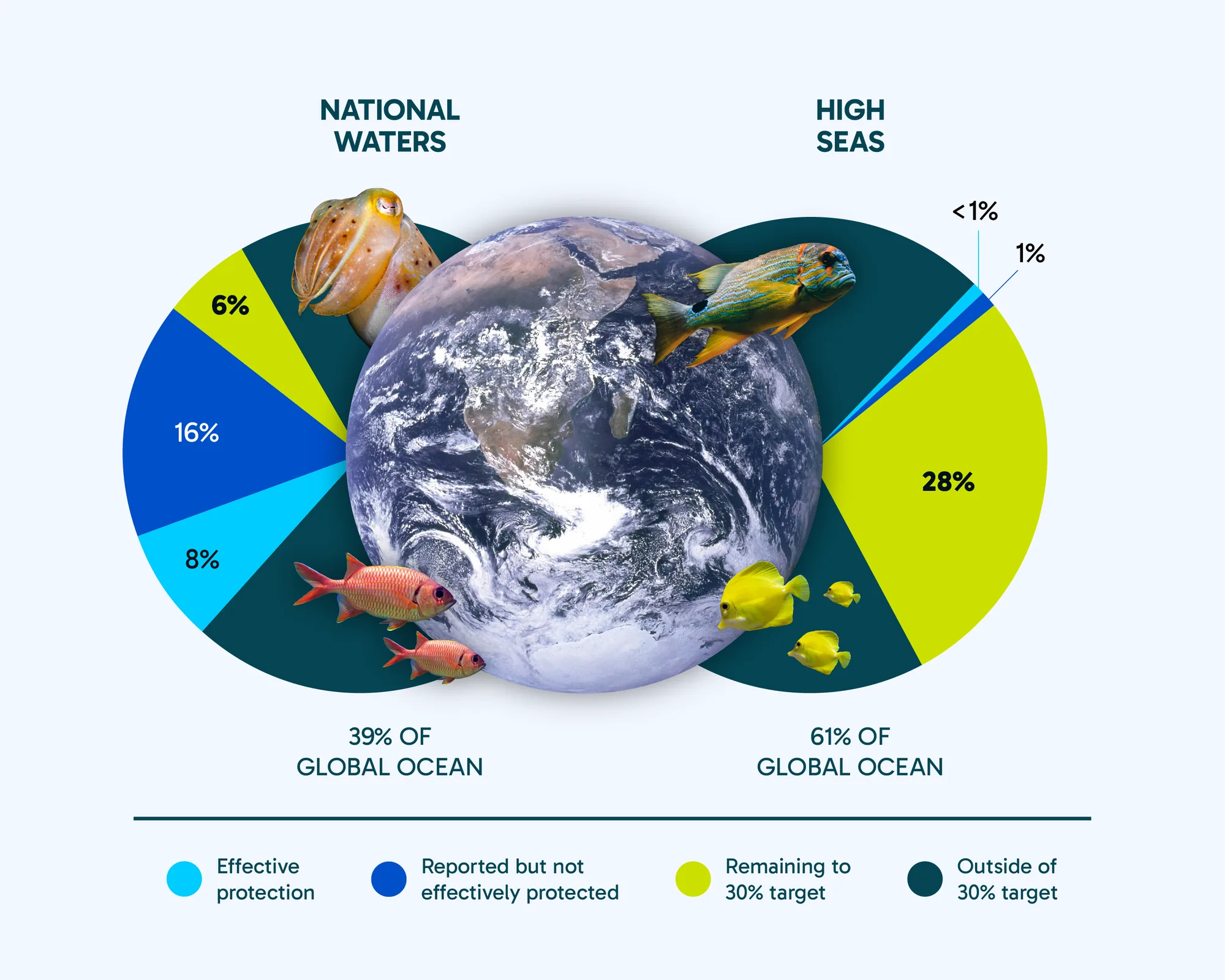 Pie charts comparing ocean protection in national waters and on the high seas. National waters make up 39% of the global ocean: 8% is effectively protected and 16% is reported but not effectively protected. The high seas make up 61% of the global ocean: under 1% is effectively protected and 1% is reported but not effectively protected.