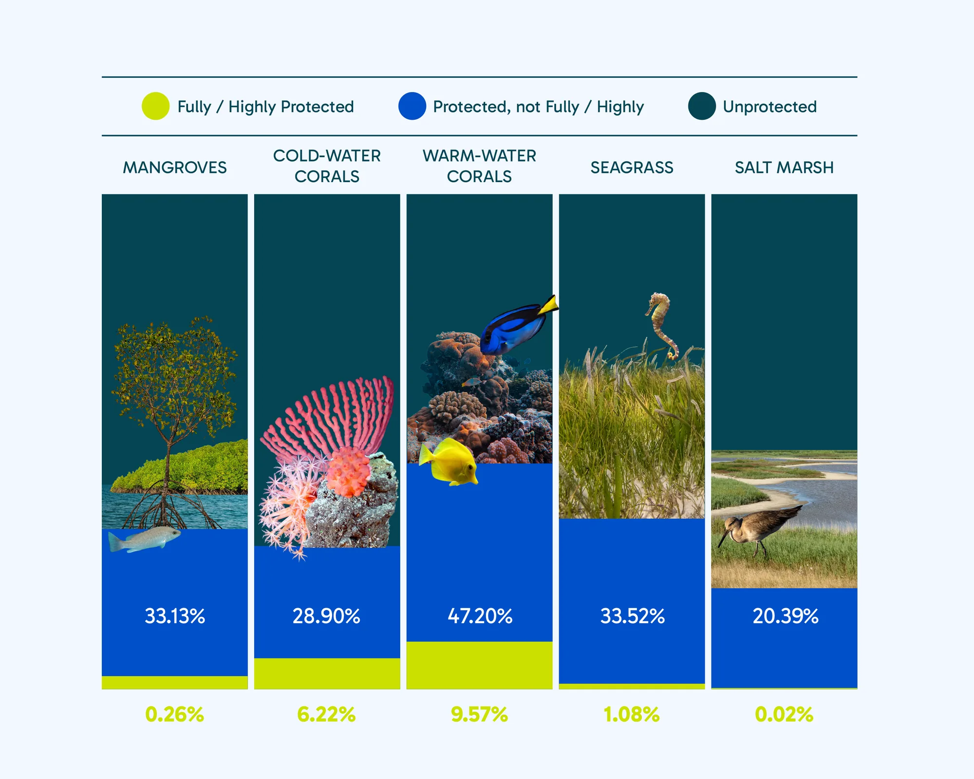 Bar chart of protection by coastal and marine ecosystem. Fully or highly protected: mangroves 0.26%, cold-water corals 6.22%, warm-water corals 9.57%, seagrass 1.08%, salt marsh 0.02%. Protected but not fully or highly protected: mangroves 33.13%, cold-water corals 28.90%, warm-water corals 47.20%, seagrass 33.52%, salt marsh 20.39%.