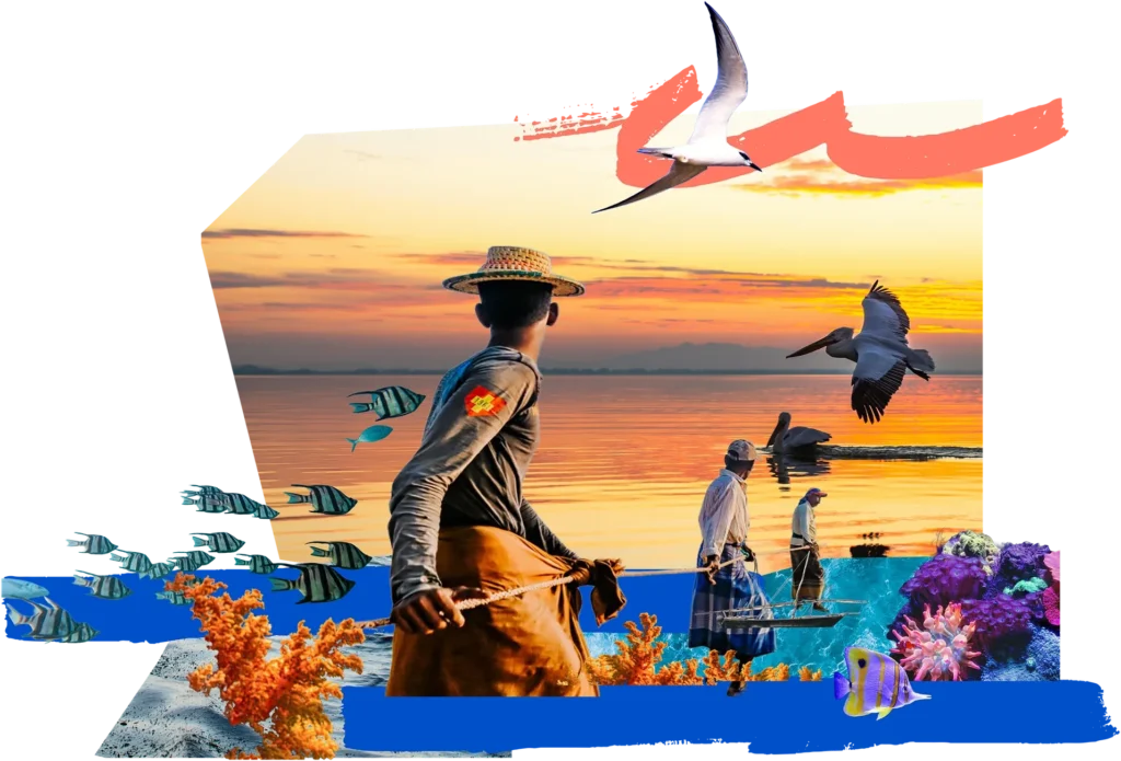 Collage of coastal fishers hauling a net at sunset, with terns, pelicans, reef fish and corals.